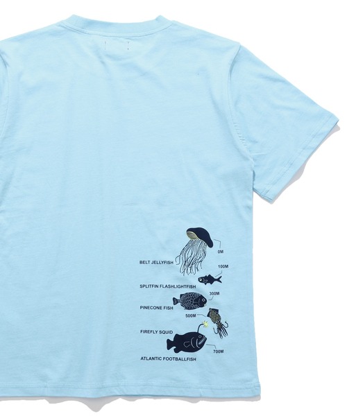 KRIFF MAYER Kid's Collection（クリフメイヤーキッズコレクション）の「【綿100％】光る！生き物Tシャツ（深海）（Tシャツ/カットソー・キッズ・ライトグリーン/ネイビー/オフホワイト/サックスブルー・150/140/130/120/170/160）」の15枚目の写真