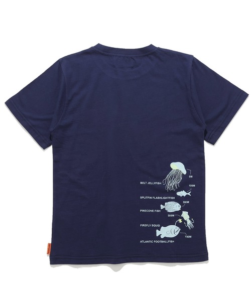 KRIFF MAYER Kid's Collection（クリフメイヤーキッズコレクション）の「【綿100％】光る！生き物Tシャツ（深海）（Tシャツ/カットソー・キッズ・ライトグリーン/ネイビー/オフホワイト/サックスブルー・150/140/130/120/170/160）」の13枚目の写真