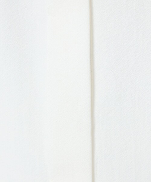 green label relaxing（グリーンレーベルリラクシング）の「シアー バンドカラー ショートスリーブ シャツ（シャツ/ブラウス・レディース・ブラック/ライトピンク/オフホワイト・FREE）」の22枚目の写真