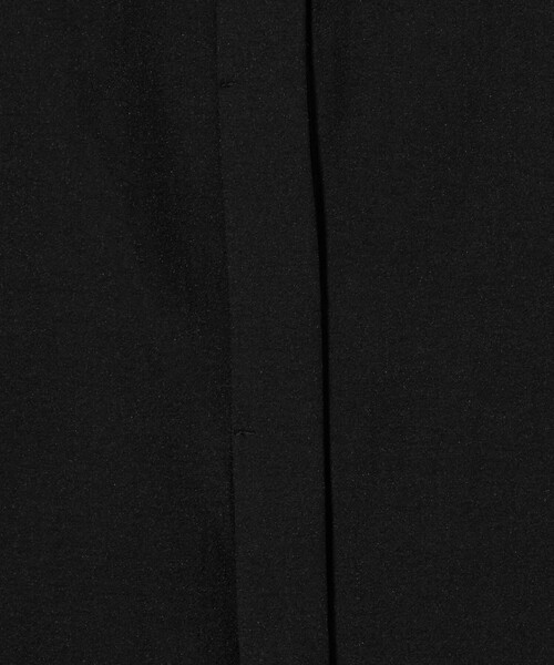 green label relaxing（グリーンレーベルリラクシング）の「シアー バンドカラー ショートスリーブ シャツ（シャツ/ブラウス・レディース・ブラック/ライトピンク/オフホワイト・FREE）」の16枚目の写真