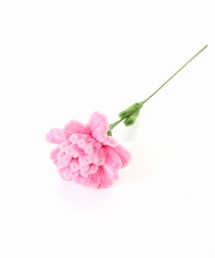 Casselini（キャセリーニ）の「Casselini HOME(キャセリーニ ホーム)モールフラワー カーネーション（インテリア雑貨・オレンジ系）」