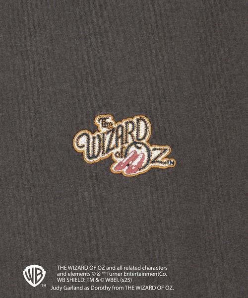 NICOLE CLUB(ニコル クラブ)の「OZ リンガーバックプリントTシャツ(Tシャツ/カットソー・レディース・サックスブルー/オフホワイト/チャコール・FREE)」の11枚目の写真