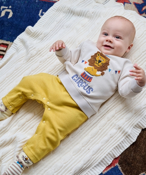 □新約の教会 アレキサンダー・R.ヘイ著 いのちのことば社, 1955