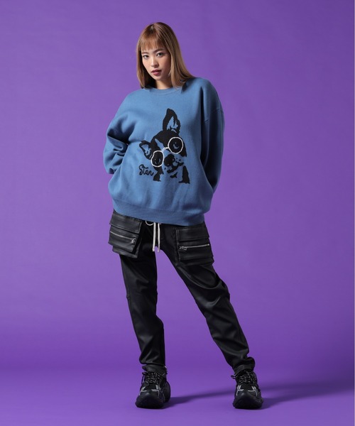 DANKE SCHON（ダンケシェーン）の「【WEB&DEPOT限定】DankeSchon/ダンケシェーン/W Jacquard DOG KNIT（ニット/セーター・レディース・ホワイト系2/ブルー/チャコールグレー・L/M/XL）」の22枚目の写真