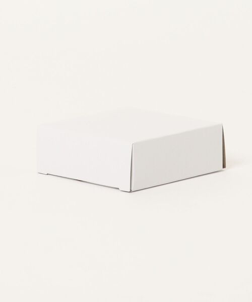 SKAGEN（スカーゲン）の「スカーゲン アクセサリー レディース ネックレス シルバー SKJ1898040（ネックレス・レディース・シルバー・FREE）」の2枚目の写真
