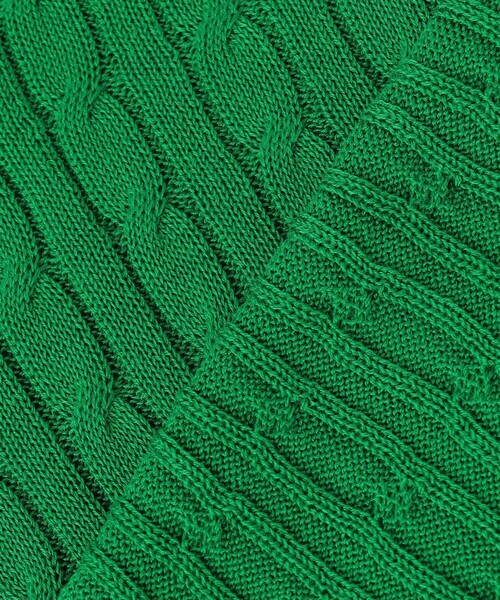 ANY(エニィ)の「【POLO BCS別注】ケーブルニットポロ(ニット/セーター・レディース・グリーン系/ベージュ系/レッド系/ネイビー系・F)」の20枚目の写真