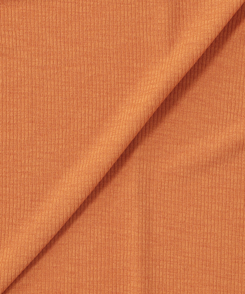 JOURNAL STANDARD relume(ジャーナルスタンダード レリューム)の「シアーリブロングTEE(Tシャツ/カットソー・レディース・ブルー/オレンジ/ホワイト・FREE)」の18枚目の写真