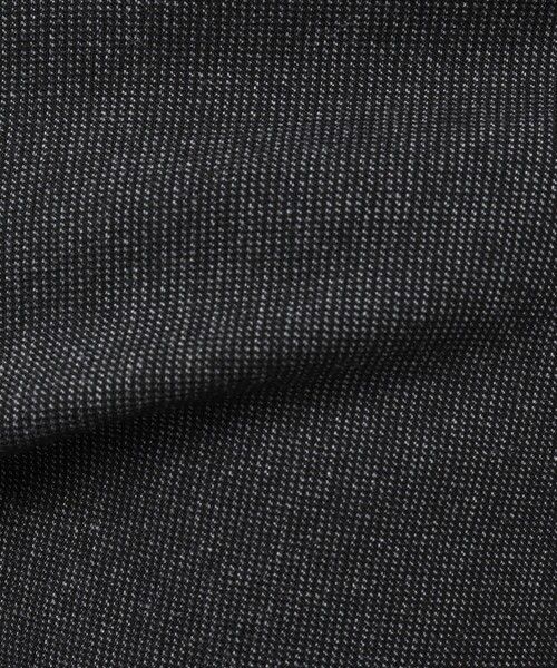 NOLLEY'S goodman（ノーリーズグッドマン）の「《セットアップ対応》サーモウォーカー ストレッチパンツ（その他パンツ・メンズ・チャコールグレー/ブルー・L/M/S）」の4枚目の写真