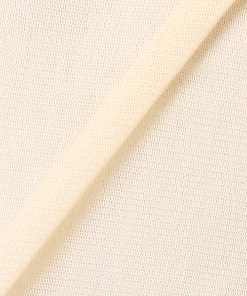 plage(プラージュ)の「《追加》Mesh Sheer ロンT 4(Tシャツ/カットソー・レディース・アイボリー/チャコールグレー/ホワイト・FREE)」の17枚目の写真