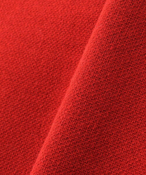 DANKE SCHON(ダンケシェーン)の「【WEB&DEPOT限定】DankeSchon/ダンケシェーン/W Jacquard CAT KNIT(ニット/セーター・レディース・レッド/チャコールグレー/グレー・L/M/XL)」の10枚目の写真
