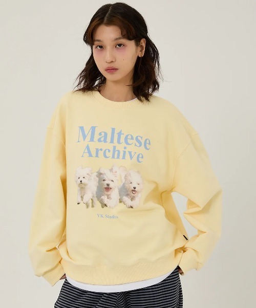 WaiKei(ワイケイ)の「◇WAIKEI◇ブランド直輸入正規品/マルチーズアーカイブ スウェット Maltese archive sweatshirts(スウェット・レディース・グレー/ブルー/ピンク/グリーン/ブラック/ライトグレー/ライトイエロー/アイボリー・M/S)」の7枚目の写真