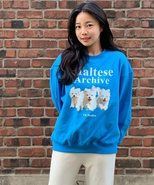 WaiKei(ワイケイ)の「◇WAIKEI◇ブランド直輸入正規品/マルチーズアーカイブ スウェット Maltese archive sweatshirts(スウェット・レディース・グレー/ブルー/ピンク/グリーン/ブラック/ライトグレー/ライトイエロー/アイボリー・M/S)」の6枚目の写真