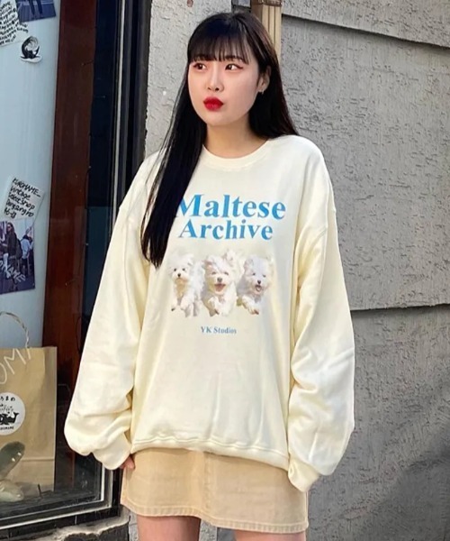 WaiKei(ワイケイ)の「◇WAIKEI◇ブランド直輸入正規品/マルチーズアーカイブ スウェット Maltese archive sweatshirts(スウェット・レディース・グレー/ブルー/ピンク/グリーン/ブラック/ライトグレー/ライトイエロー/アイボリー・M/S)」の2枚目の写真