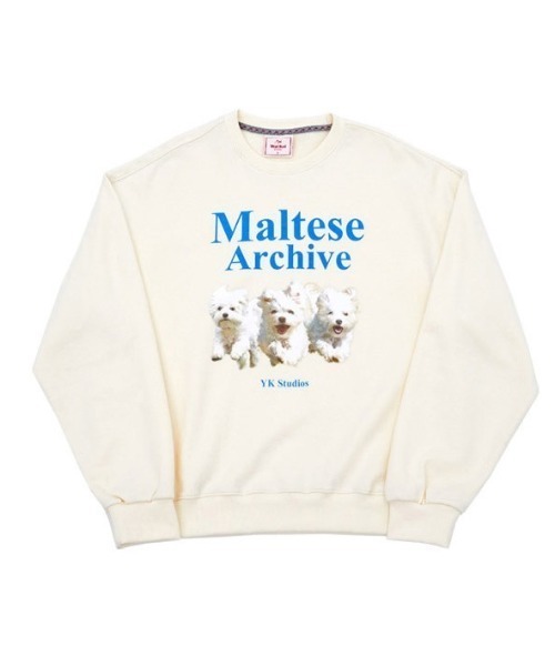 WaiKei(ワイケイ)の「◇WAIKEI◇ブランド直輸入正規品/マルチーズアーカイブ スウェット Maltese archive sweatshirts(スウェット・レディース・グレー/ブルー/ピンク/グリーン/ブラック/ライトグレー/ライトイエロー/アイボリー・M/S)」の18枚目の写真