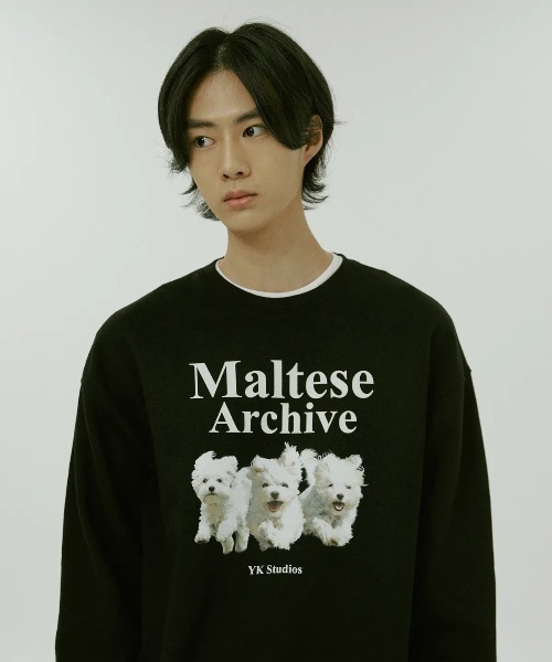 WaiKei(ワイケイ)の「◇WAIKEI◇ブランド直輸入正規品/マルチーズアーカイブ スウェット Maltese archive sweatshirts(スウェット・レディース・グレー/ブルー/ピンク/グリーン/ブラック/ライトグレー/ライトイエロー/アイボリー・M/S)」の10枚目の写真