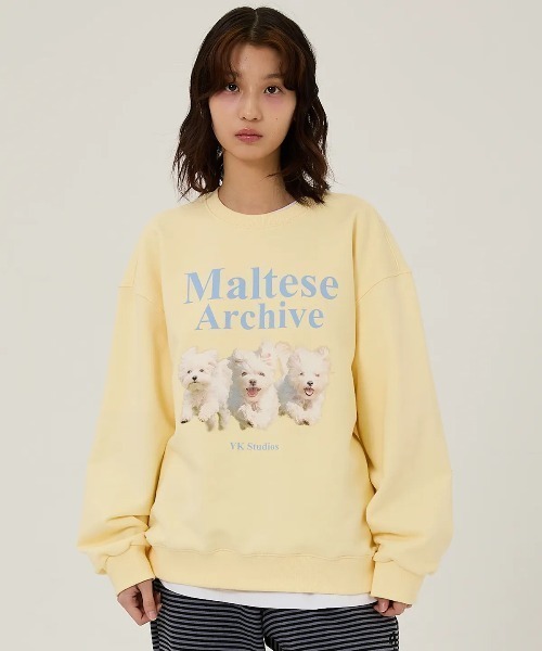WaiKei(ワイケイ)の「◇WAIKEI◇ブランド直輸入正規品/マルチーズアーカイブ スウェット Maltese archive sweatshirts(スウェット・レディース・グレー/ブルー/ピンク/グリーン/ブラック/ライトグレー/ライトイエロー/アイボリー・M/S)」の14枚目の写真