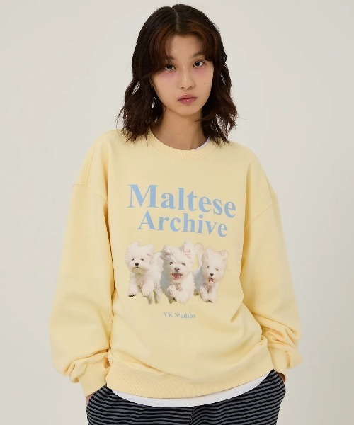 WaiKei(ワイケイ)の「◇WAIKEI◇ブランド直輸入正規品/マルチーズアーカイブ スウェット Maltese archive sweatshirts(スウェット・レディース・グレー/ブルー/ピンク/グリーン/ブラック/ライトグレー/ライトイエロー/アイボリー・M/S)」の15枚目の写真