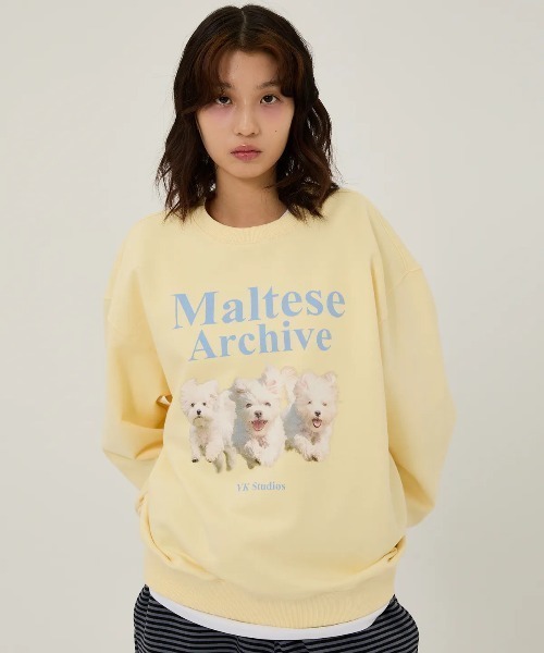 WaiKei(ワイケイ)の「◇WAIKEI◇ブランド直輸入正規品/マルチーズアーカイブ スウェット Maltese archive sweatshirts(スウェット・レディース・グレー/ブルー/ピンク/グリーン/ブラック/ライトグレー/ライトイエロー/アイボリー・M/S)」の16枚目の写真