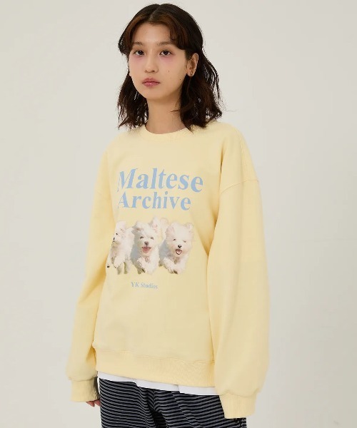WaiKei(ワイケイ)の「◇WAIKEI◇ブランド直輸入正規品/マルチーズアーカイブ スウェット Maltese archive sweatshirts(スウェット・レディース・グレー/ブルー/ピンク/グリーン/ブラック/ライトグレー/ライトイエロー/アイボリー・M/S)」の17枚目の写真