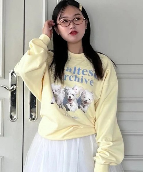 WaiKei(ワイケイ)の「◇WAIKEI◇ブランド直輸入正規品/マルチーズアーカイブ スウェット Maltese archive sweatshirts(スウェット・レディース・グレー/ブルー/ピンク/グリーン/ブラック/ライトグレー/ライトイエロー/アイボリー・M/S)」の13枚目の写真