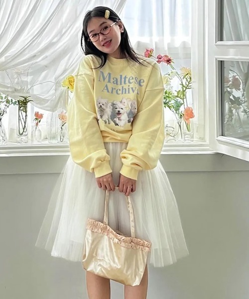 WaiKei(ワイケイ)の「◇WAIKEI◇ブランド直輸入正規品/マルチーズアーカイブ スウェット Maltese archive sweatshirts(スウェット・レディース・グレー/ブルー/ピンク/グリーン/ブラック/ライトグレー/ライトイエロー/アイボリー・M/S)」の12枚目の写真