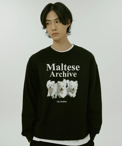 WaiKei(ワイケイ)の「◇WAIKEI◇ブランド直輸入正規品/マルチーズアーカイブ スウェット Maltese archive sweatshirts(スウェット・レディース・グレー/ブルー/ピンク/グリーン/ブラック/ライトグレー/ライトイエロー/アイボリー・M/S)」の9枚目の写真