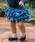 panpantutu�i�p���p���`���`���j�́u�t���t���{�g��/�t�����p�[�e�B�[�i�f�j���p���c�j�v�b���C�g�C���f�B�S�u���[