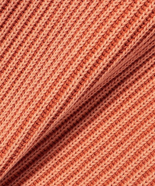 SHIPS any(シップス エニィ)の「SHIPS any:〈手洗い可能〉オーバーダイ ベスト◇(ベスト・レディース・ネイビー/オレンジ/ベージュ・ONE SIZE)」の15枚目の写真