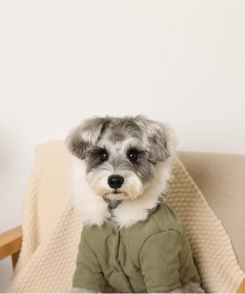 フードファージャケット / 犬服 / ドッグウェア（ペットウェア