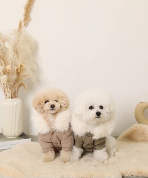 セール】フードファージャケット / 犬服 / ドッグウェア（ペットウェア