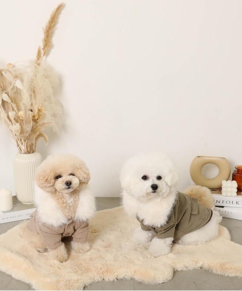 moncheri（モンシェリ）の「フードファージャケット / 犬服 / ドッグウェア（ペットウェア・レディース・カーキ/ベージュ・L/M/S/XL/XS/2M）」の18枚目の写真