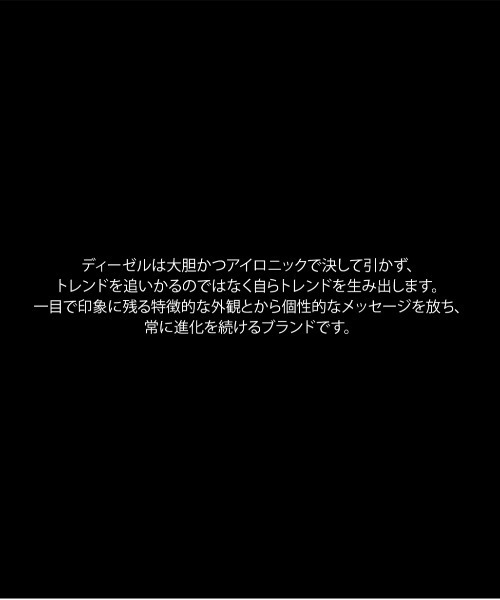 DIESEL（ディーゼル）の「ディーゼル 腕時計 レディース アナログ ステンレス DZ5605（アナログ腕時計・レディース・シルバー・FREE）」の13枚目の写真