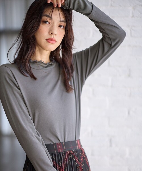 ANY(エニィ)の「【洗濯機可】シアーコンビタートル(Tシャツ/カットソー・レディース・アイボリー系/グレー系・2/3)」の1枚目の写真