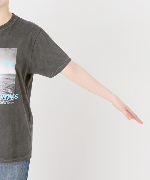 Spick and Span メイプルphoto Tee セール】melple / メイプル photo Tee（Tシャツ/カットソー