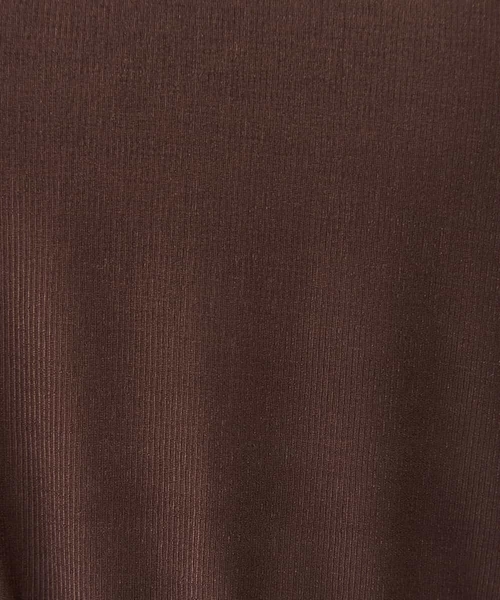 a.v.v(アーヴェヴェ)の「シアーストレッチハイネックトップス(Tシャツ/カットソー・レディース・ブラウン/アイボリー/ブラック/モカ・40/36/38)」の13枚目の写真