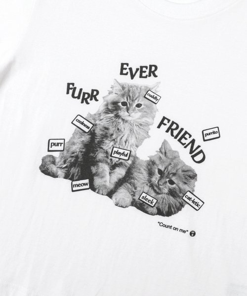SUIBOM（スイボム）の「ファーエバーフレンドクロップTシャツオフホワイト（Tシャツ/カットソー・レディース・その他・ONE SIZE）」の3枚目の写真