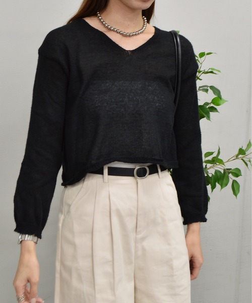 &soiree(アンドソワレ)の「シースルーショートトップス(Tシャツ/カットソー・レディース・ブラック/オフホワイト/ブルー・FREE)」の4枚目の写真