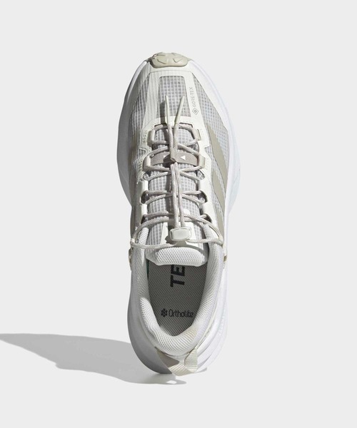 テレックス フリーハイカー SL GORE-TEX ハイキング / Terrex