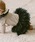 panpantutu�i�p���p���`���`���j�́u�t���t���{�g��/�t�����p�[�e�B�[�i���̑��p���c�j�v�b�_�[�N�O���[���n