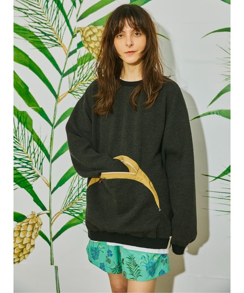 And A(アンドエー)の「AlexanderLeeChang アレキサンダーリーチャン / BIG TWILL CREW ビッグツイル クルーネックスウェット トレーナー / AC012201(スウェット・メンズ・グリーン/グレー/チャコール・2/3)」の6枚目の写真