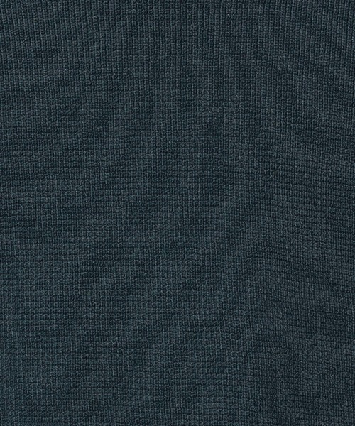 LAKOLE(ラコレ)の「ミニワッフルニットベスト / 265994(ベスト・メンズ・ベージュ/グリーン/ライトグレー・LARGE/MEDIUM)」の14枚目の写真