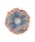 ANEMONEiAllj́uVA[v[cVViVVjvbu[