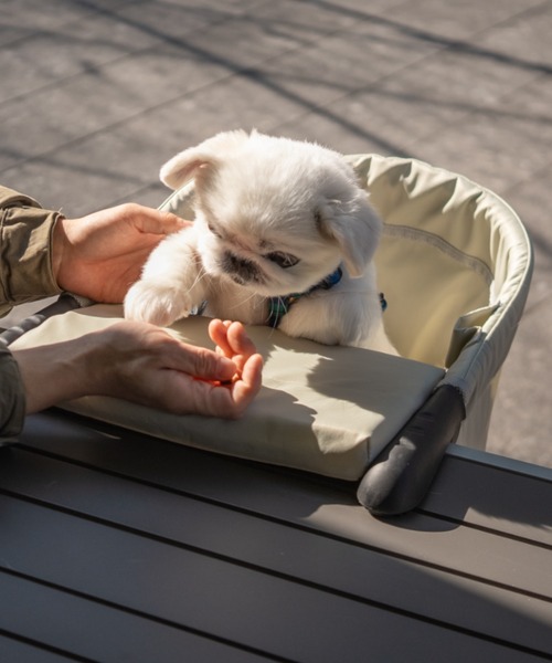 EMOOR（エムール）の「テーブルにつける 愛犬用ベッド 「わんぽっけ」/Mサイズ（ペット用クッション/マット・レディース・ライトグレー/ブラウン・FREE）」の6枚目の写真