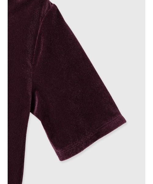 EIMY ISTOIRE（エイミーイストワール）の「コンパクトベロアトップス（Tシャツ/カットソー・レディース・ボルドー/アイボリー/グレー・F）」の18枚目の写真