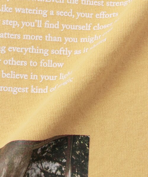 and D. petit main（アンドディープティマイン）の「【USAコットン】CATフォトプリントロンT（Tシャツ/カットソー・キッズ・シルバーグレー/チャコール/イエロー/サックスブルー/ライトピンク・90cm/100cm/110cm/130cm/120cm/140cm）」の10枚目の写真