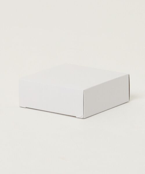 SKAGEN(スカーゲン)の「スカーゲン アクセサリー レディース ピアス ゴールド SKJ1903710(ピアス(両耳用)・レディース・ゴールド・FREE)」の5枚目の写真