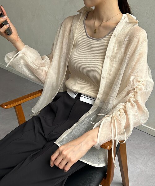 Thevon(ゼボン)の「ラメワッシャー袖シャーリングシアーシャツ(シャツ/ブラウス・レディース・ピンク/ブラウン/サックスブルー/アイボリー・FREE)」の2枚目の写真