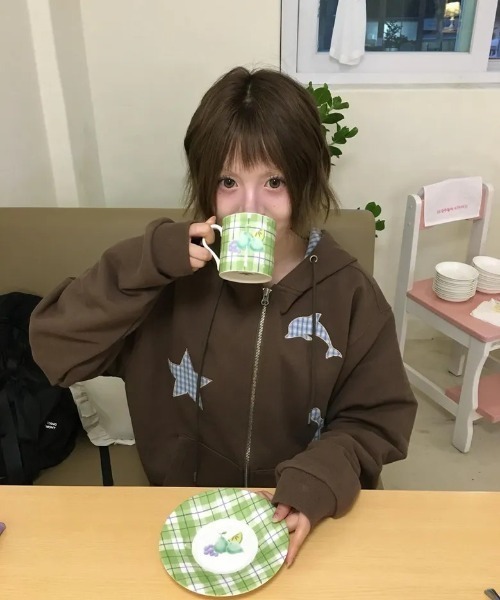 WaiKei(ワイケイ)の「◇WAIKEI◇ブランド直輸入正規品/スタードルフィンチェックアプリケフードジップアップ Star Dolphin Check Applique Hood Zip Up(パーカー・レディース・ブラウン/アイボリー・M/S)」の5枚目の写真