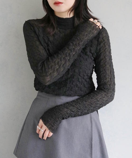 cheriella(シェリエラ)の「【cheriella】WEB限定ウェーブシアーメッシュトップス WEB LIMITED WAVE SHEER MESH TOPS(Tシャツ/カットソー・レディース・ブラック/アイボリー・M)」の1枚目の写真