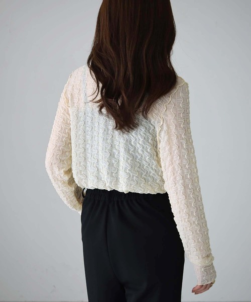 cheriella(シェリエラ)の「【cheriella】WEB限定ウェーブシアーメッシュトップス WEB LIMITED WAVE SHEER MESH TOPS(Tシャツ/カットソー・レディース・ブラック/アイボリー・M)」の18枚目の写真